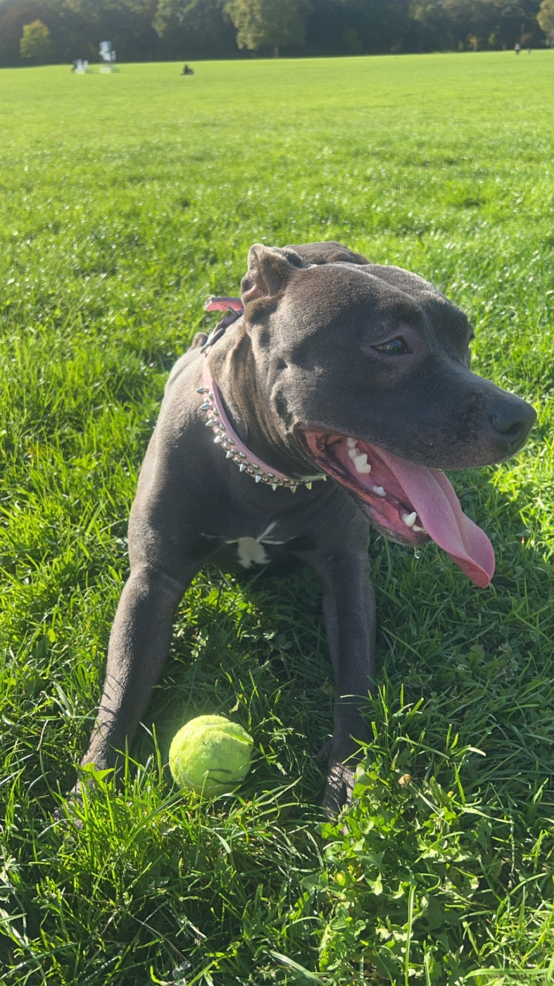 Ulya dit Genna (Sans Affixe)